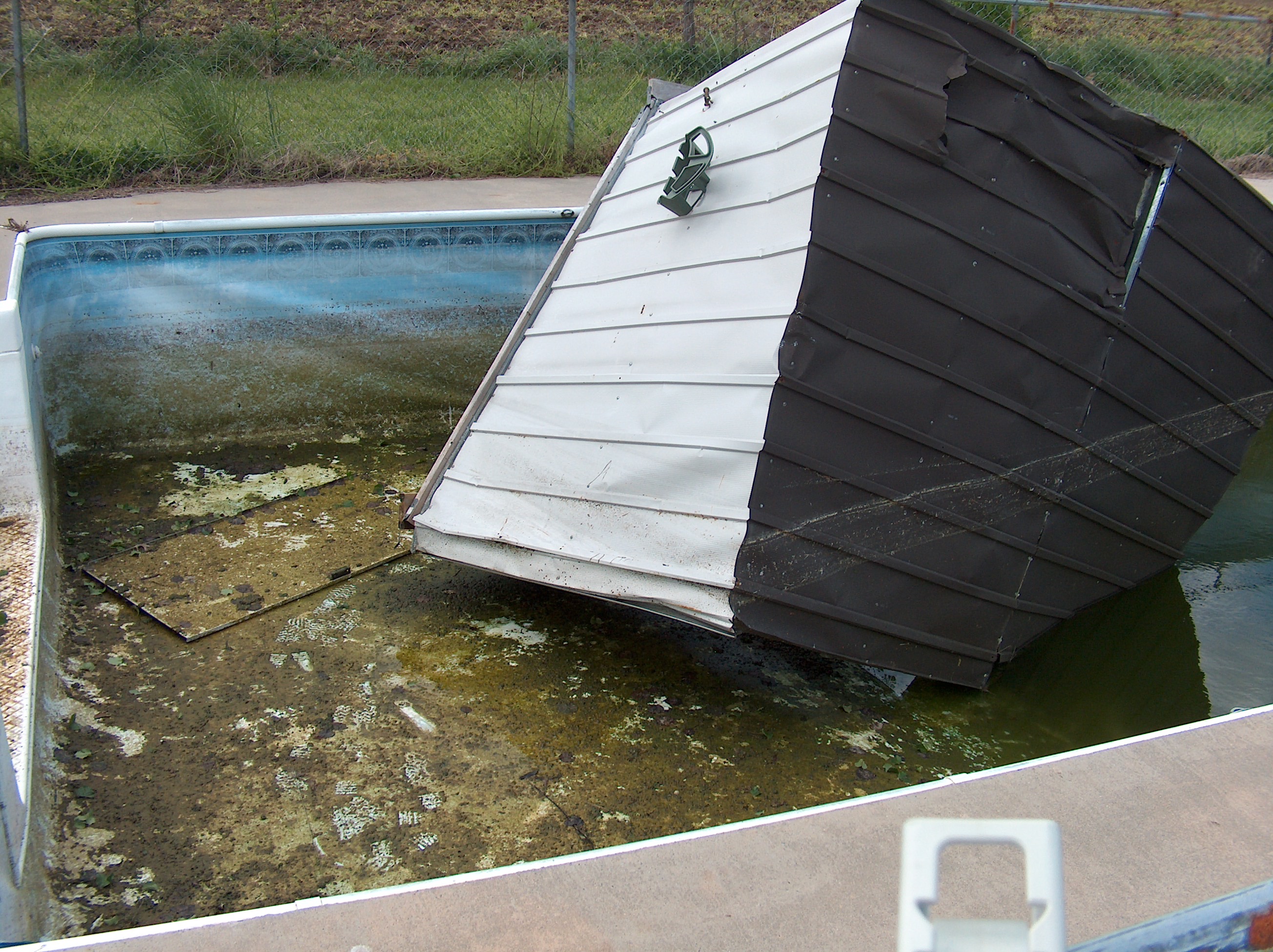 Pool Horror Pictures